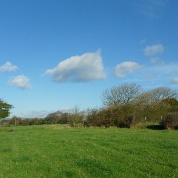 Laleston Stones Trail