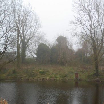 Off the Celtic Stones Trail