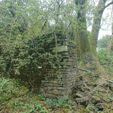 More lost farmsteads: Craig yr Allt