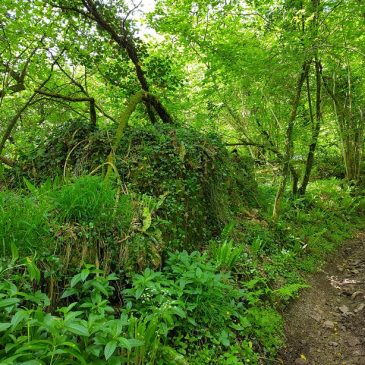 More lost farms above Cardiff